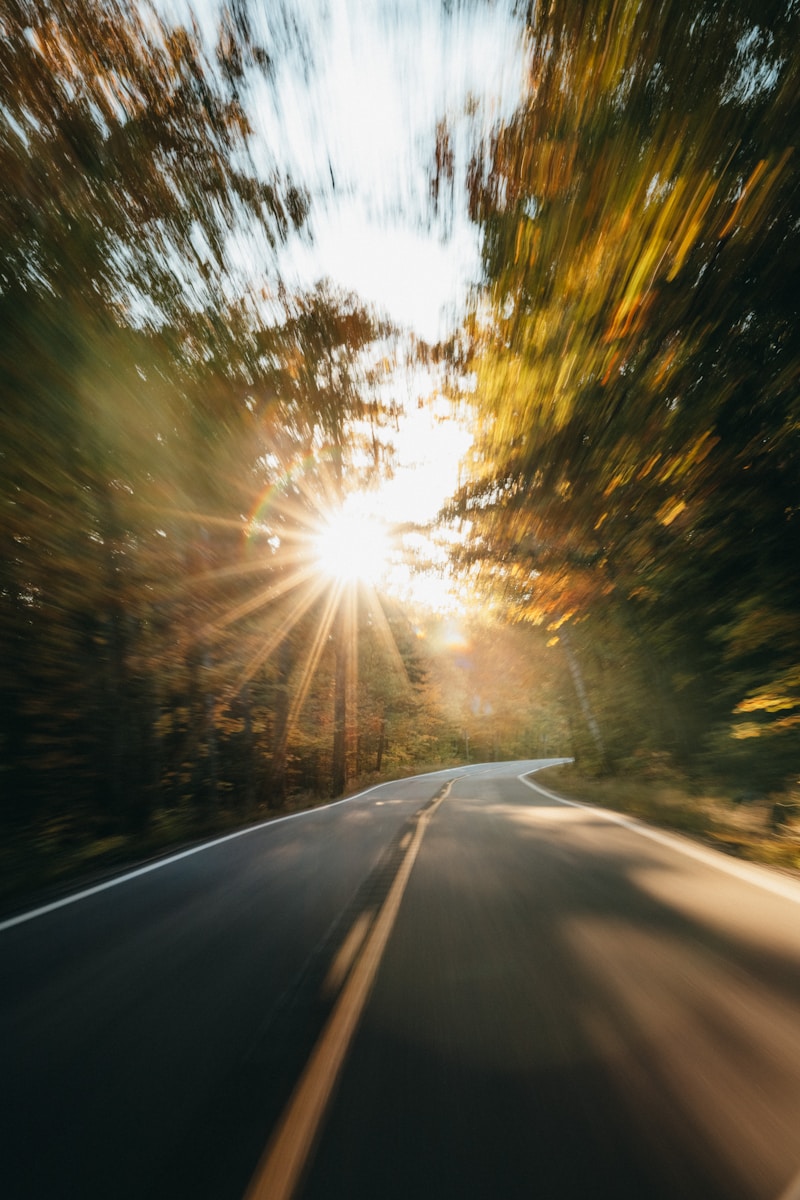 the sun is shining through the trees on the road